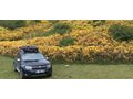 Sahibinden Dacia Duster 1.5 dCi Laureate 2017 Model  Mavi