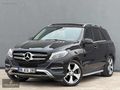DEMİRBAŞ - 2016 GLE 350 CDİ 4 MATİC SYTLE HATASZ BOYASZ TRAMERSZ