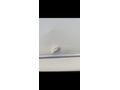 Sahibinden Seat Ibiza 1.4 Style 2014 Model