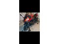 Sahibinden RKS SRK 250 RR