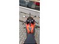 Sahibinden RKS SRK 250 RR