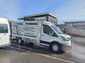 Galeriden Ford Trucks Transit 350 L Diyarbakır