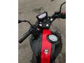 TVS APACHE RTR 200 2024