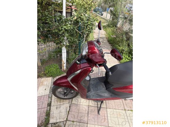 Sahibinden Yamaha D'elight Aydın
