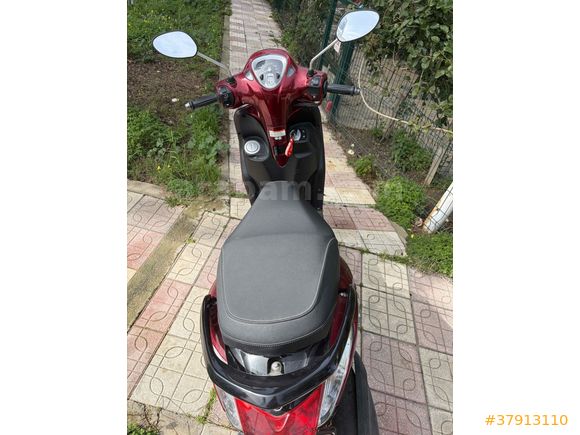 Sahibinden Yamaha D'elight Aydın