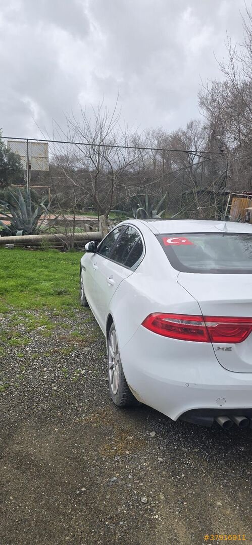 Sahibinden Jaguar XE 2.0 D Portfollio Plus 2015 Model Ankara 226.000 km Beyaz 3