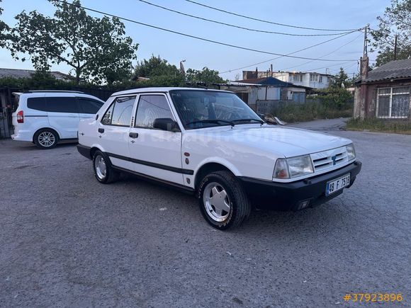 BEYAZ GÜL SATIŞTA