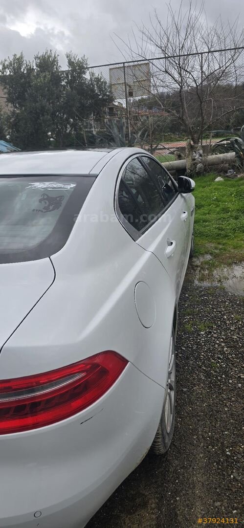Sahibinden Jaguar XE 2.0 D Portfollio Plus 2015 Model Ankara 226.000 km Beyaz 5