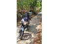 Sahibinden Bajaj Pulsar 200 NS ABS