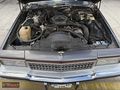1981 CAPRİCE CLASSİC V8 OTOMAT WAGON