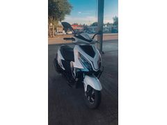Falcon Mocco