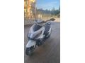 Falcon Mocco