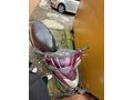 Sahibinden Honda Activa S 