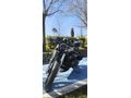 Sahibinden Regal Raptor Pilder 125 