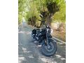 Sahibinden Falcon Freedom 250 