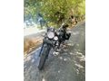 Sahibinden Falcon Freedom 250 