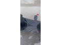 Sahibinden Stmax ZWD 250 Manisa