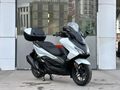 YETKİLİ BAYİ HONDA AÇAR'DAN FORZA 250 CC NAKİT'E ÖZEL FİYAT !