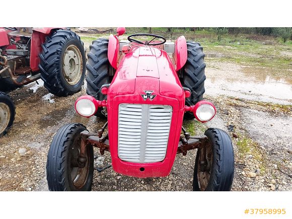 aylar galeri Massey Ferguson 135 Adana