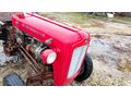 aylar galeri Massey Ferguson 135 Adana