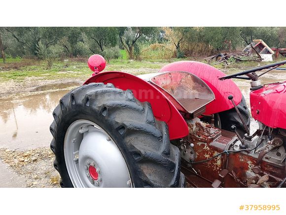aylar galeri Massey Ferguson 135 Adana
