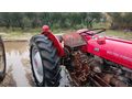 aylar galeri Massey Ferguson 135 Adana