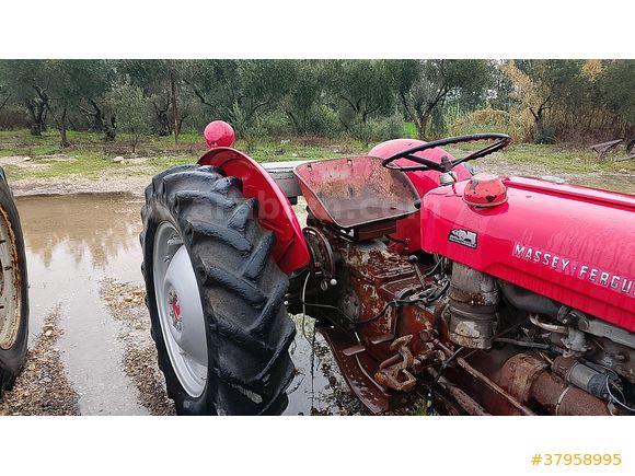 aylar galeri Massey Ferguson 135 Adana
