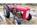 aylar galeri Massey Ferguson 135 Adana