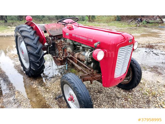 aylar galeri Massey Ferguson 135 Adana