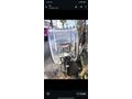Sahibinden Stmax Elit 940 Sıfır Akü takıldı temiz bradali elektrikli motor