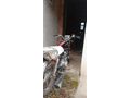 Sahibinden Kuba Prince 50