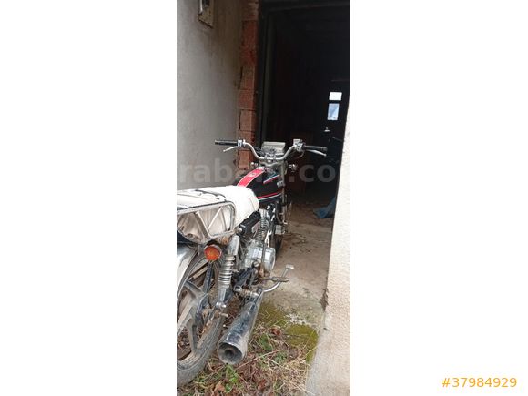 Sahibinden Kuba Prince 50