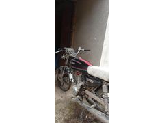 Sahibinden Kuba Prince 50