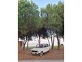 Sahibinden Tofaş Serçe 1994 Model