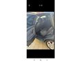 Sahibinden Seat Ibiza 1.4 TDI Elegance 2008 Model
