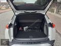 SAYAN OTOMOTİV DEN e-2008