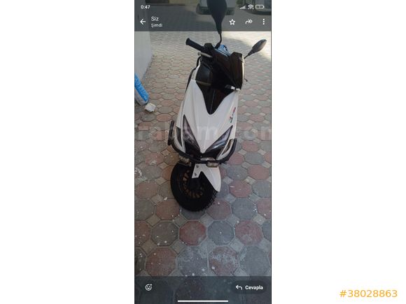 Sahibinden Kuba Pesaro 50 X