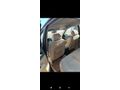 Sahibinden Ford Mondeo 2.0 Trend 2001 Model