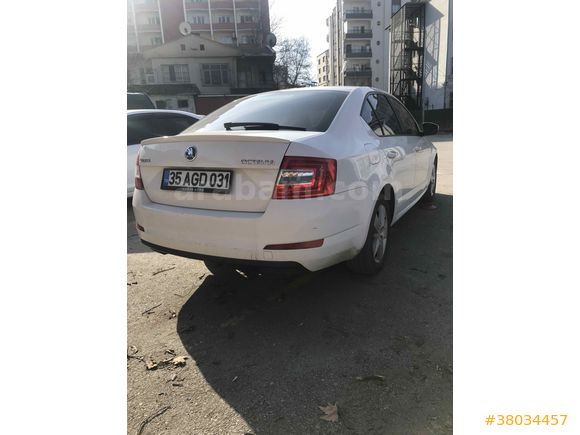 Sahibinden Skoda Octavia 1.6 TDI Optimal 2015 Model 
