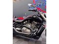 Sahibinden Harley Davidson VRSC V-Rod Muscle 