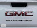 CENKAR-2022 GMC SİERRA 2.7 L 4X4 V6 310hp HATASIZ