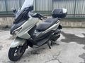 Sahibinden Honda Forza 250 (NSS250) 