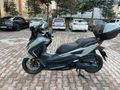 Sahibinden Honda Forza 250 (NSS250) Kahramanmaraş