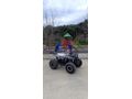 Sahibinden ATV & UTV Revolt RA5