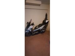 Sahibinden Honda Forza 250 (NSS250) Aydın