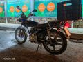 Sahibinden Kuba Çita 100 R