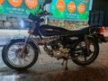 Sahibinden Kuba Çita 100 R