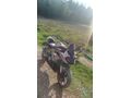 CFmoto 250SR