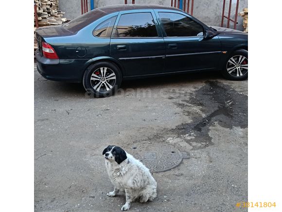Sahibinden Opel Vectra 2.0 CDX 1998 Model