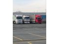 Sahibinden DAF XF 95.480